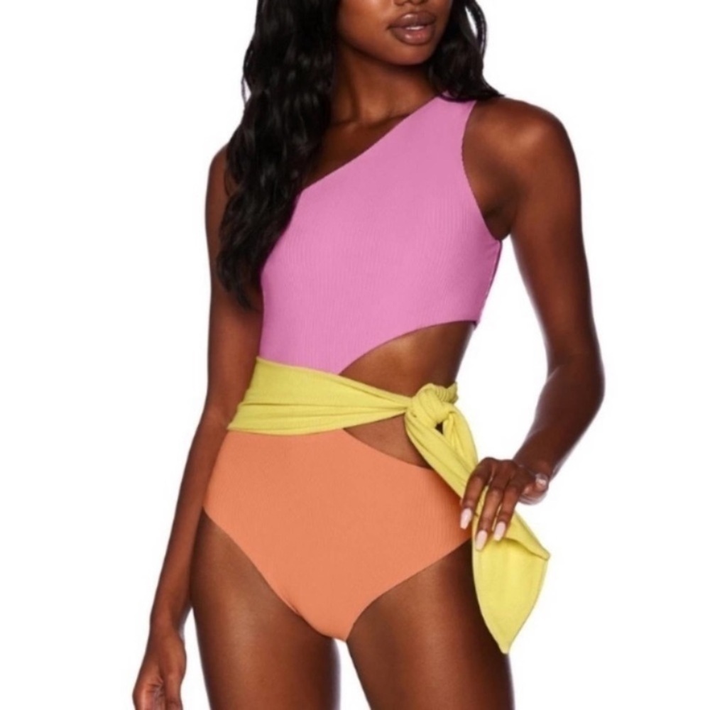 New! Beach Riot Carlie Fruity Colorblock One Piece Swimsuit 24038 - Picture 4 of 12